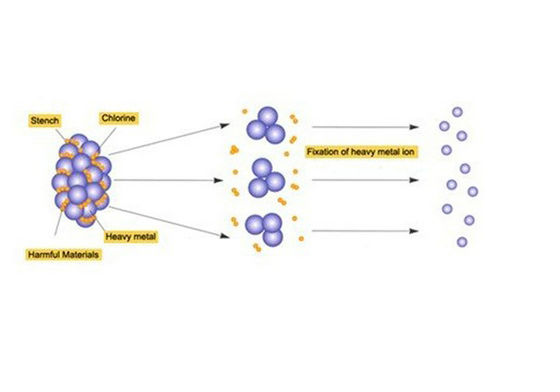Hydrosana İyonik Detoks Ayak Spa Masaj Makinesi İki Kişilik