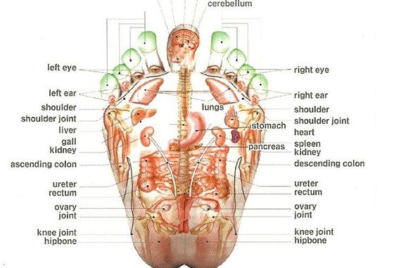 De Voet Massager voor Acupunctuurpunten, Reflexology van Shiatsu van het Tourmalinehart