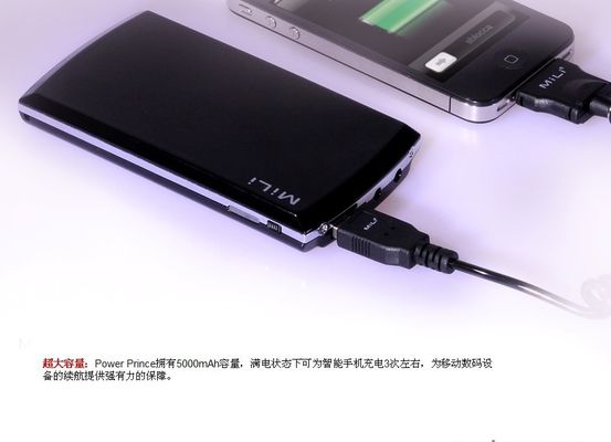Custom Made Universal Universal Portable Power Bank For IPhone / IPad / PC